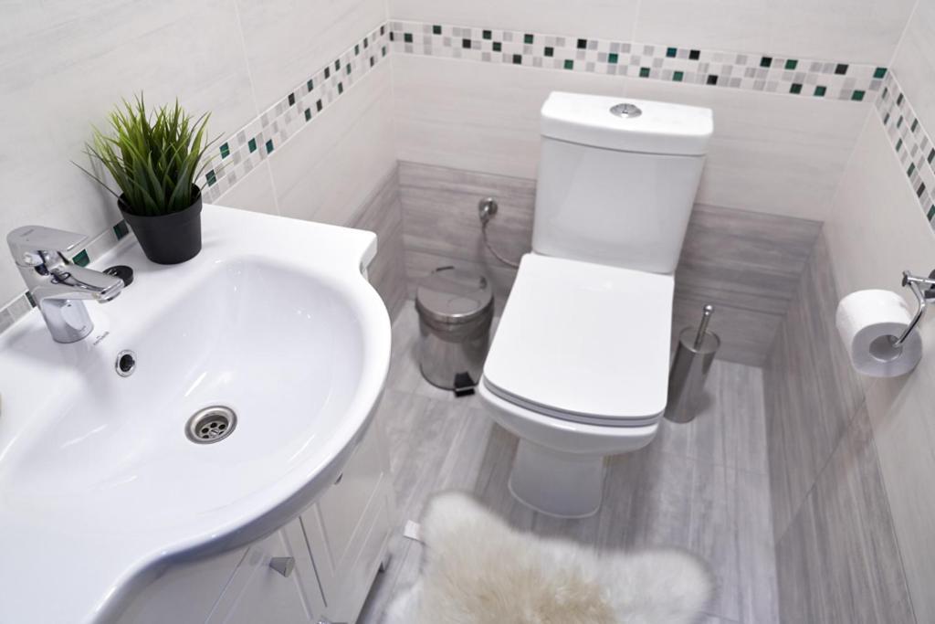 Villa Gor Bukovel Ngoại thất bức ảnh